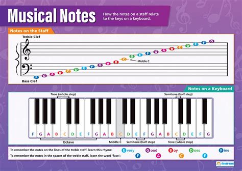 musical notes  posters gloss paper measuring mm  mm