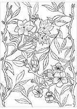 Colorare Disegni Vegetazione Adulti Vegetation sketch template