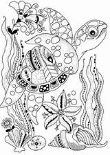 Coloring Pages Turtle Mandala Tortue Sea Ausmalbilder Coloriage Underwater Mer Colouring Sommer Coloriages Adult Imprimer Book Tiere Print Animal Animaux sketch template