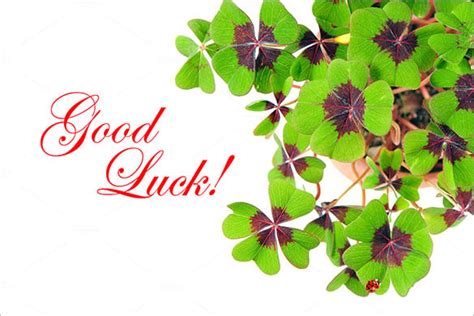 good luck card template   printable word  psd eps format