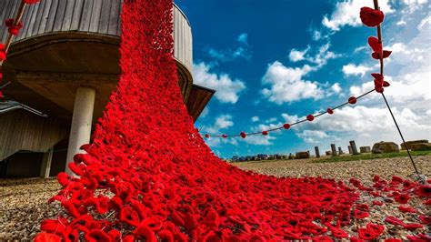 wave  crocheted poppies installed  lepe beach bbc news