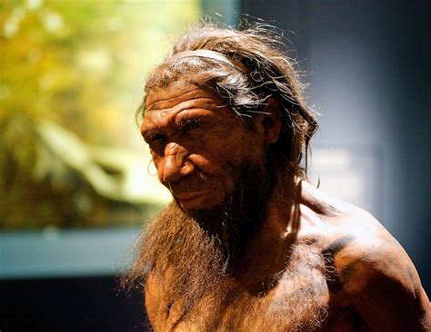history changing discovery suggests homo sapiens