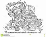Coloring Bunny Rabbit Book Vector Adults Adult Illustration Zentangle sketch template