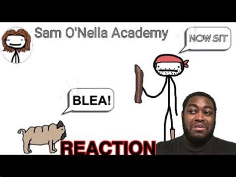 sam onella academy dogs  pirates reaction youtube