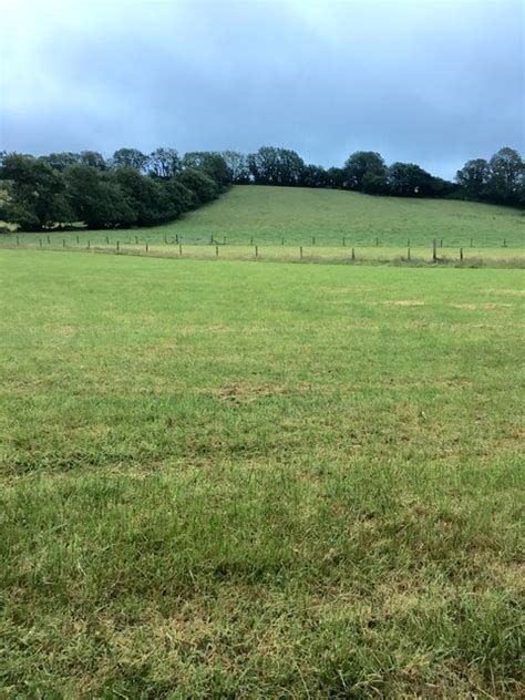 grassland  jeff collins cc  sa geograph britain  ireland