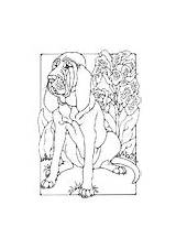 Coloring Pages Bloodhound sketch template