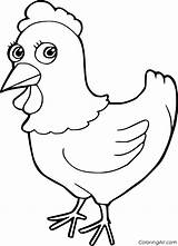 Hen Coloring Pages Cartoon sketch template