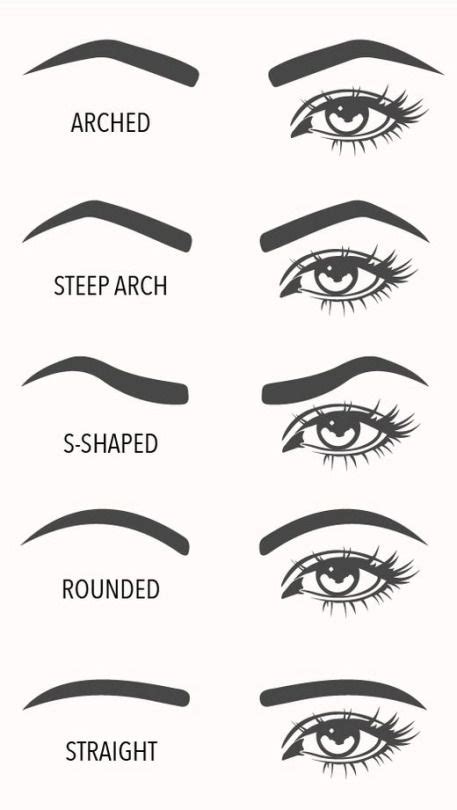 Eyebrow Shapes Visual Guide Eyebrow Shaper Arched