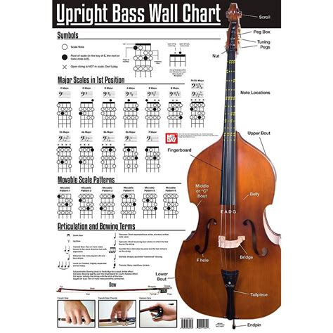 Mel Bay Upright Bass Wall Chart In 2021 Upright Bass Double Bass