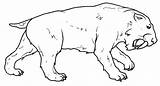 Prehistoricos Prehistoria Sable Tigre Dientes Smilodon Laminas Pinta Niños Relacionados sketch template