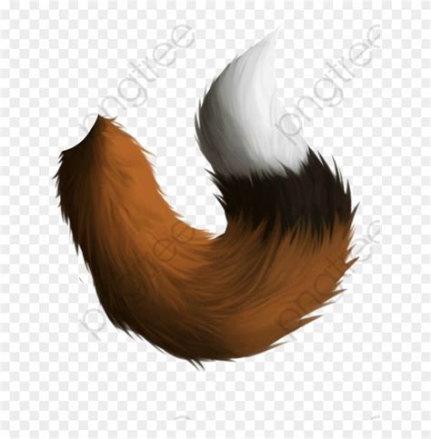 tail png   cliparts  images  clipground