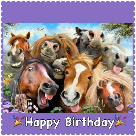 number happy birthday meme happy birthday horse happy birthday