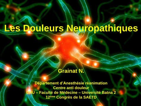 Pdf Les Douleurs Neuropathiques Saetd Neuropathique Pdf · De