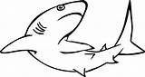 Hiu Ikan Shark Mewarnai Requin Binatang Halaman Coloriages Webstockreview sketch template
