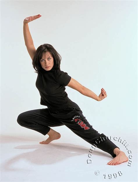 Shannon Lee Pics Shannon Lee Bruce Lee Martial Arts