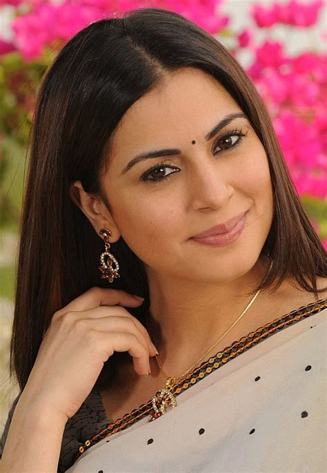 shraddha arya in saree bollywood arya bollywood pictures fashion