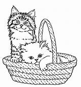 Coloring Basket Cat Kittens Pages Gatos Colouring Cute Belle Baskets Kitty sketch template