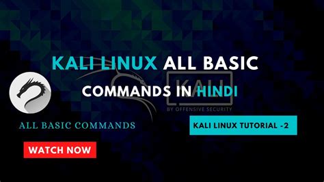 Kali Linux Basic Commands Kali Linux All Commands In Hindi Tutorial