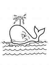 Whale Coloring Pages Humpback Printable Color Getcolorings Print Nice sketch template