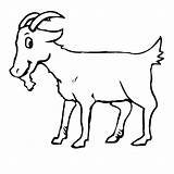 Cabra Bode Cabras Dibujos Coloring Chevre Goats Bodes Facil Pintarcolorear Tudodesenhos Correndo sketch template
