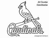 Cardinals Coloring Squidoo sketch template