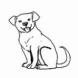 Coloriage Labrador Chiot Animaux Imprimer Welpe Jack Hund Cucciolo Cachorro Welpen Russel Chiens Dessins Coloriages Cane Ausmalbild Fois Imprimé sketch template