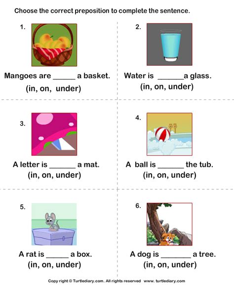 prepositions  place    worksheet turtle diary