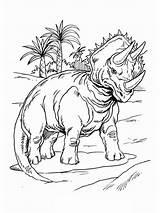 Coloring Pages Triceratops Palm Trees Printable Popular sketch template
