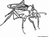 Mosquito Coloring Pages Color sketch template