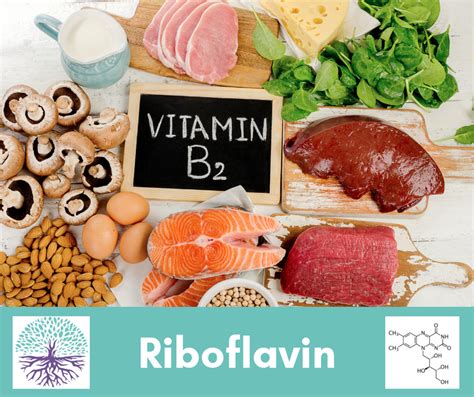 Riboflavin Vitamin B2 Vital Health Solutions