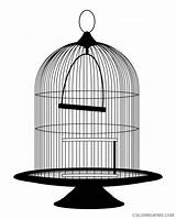 Coloring4free Birdcage Terkait Clipart sketch template