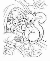 Woodland Coloring Pages Animals Printable Getcolorings Col sketch template