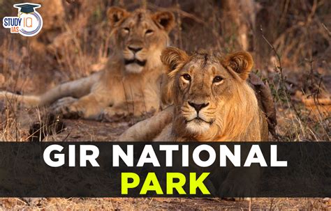 gir national park history feature location biodiversity  facts