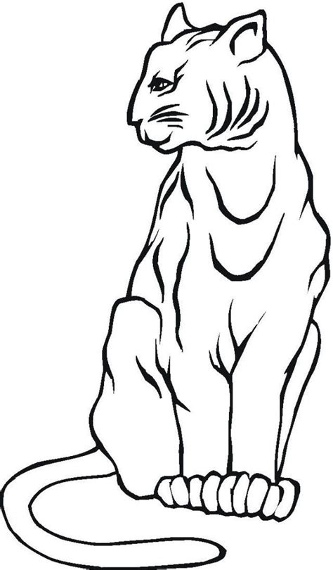 mountain lion coloring pages coloring home