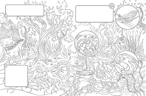 water week coloring pages coloring book  coloring pages