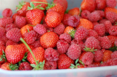 strawberries  raspberries   part   haul  flickr