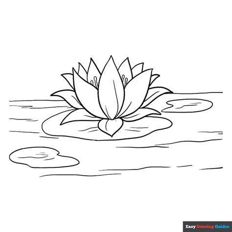 lotus flower coloring page easy drawing guides