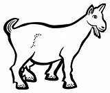Goat Outline Clipart Clipartmag sketch template