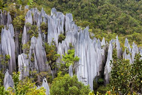 Gunung Mulu National Park Is Een Immens Grottenstelsel Op Maleisisch