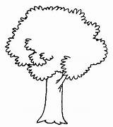 Arvore Desenhos Trees sketch template