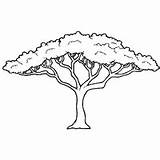 Acacia African Safari Malvorlage Baum Surfnetkids Umriss Dessin Eule Afrikanische Bäume Ausmalbilder Savane Coloriage Jirafas Alberi Malen árboles Womensbodysuit Africanas sketch template