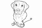 Labrador Lab Coloring Pages Retriever Golden Yellow Drawing Dog Line Puppy Drawings Chocolate Printable Puppies Science Colouring Kids Sketch Head sketch template