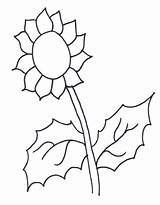 Sunflower Coloring Color Pages Sunflowers Clipart Colouring Printable Template Flower Book Gif Colour Cliparts Kids Print Clipground Library Summer Pumpkin sketch template