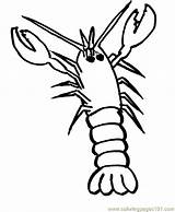 Coloring Lobster Dibujos Pages Printable Crawfish Print Online Kids Color Animals Getdrawings Drawing sketch template
