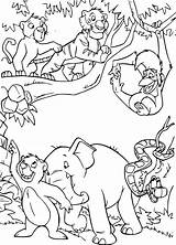 Giungla Colorare Disegni Mowgli Baloo Shanti sketch template