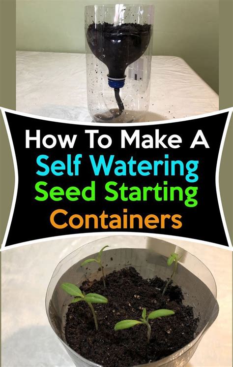 Start Your Seeds With This Awesome Self Watering Seed Starter Container