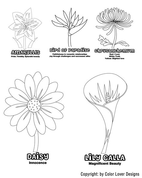 flower coloring pages printable etsy