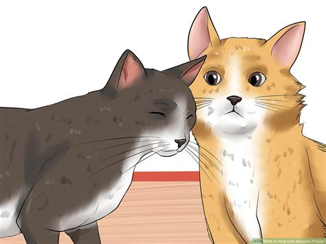 How To Help Two Cats Get Along Documentride5