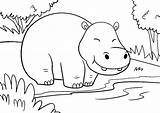 Nilpferd Hippo Coloring Ausdrucken Steht Susses sketch template