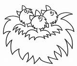 Nest Coloring Birds Colouring Pages Kids Coloringhome 55kb sketch template